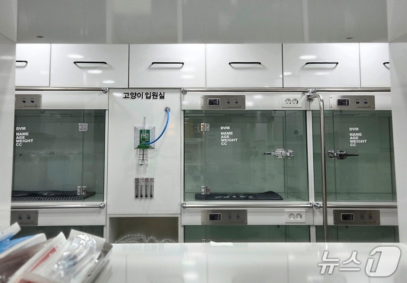 본문 이미지 - 연수동물메디컬센터 내부 ⓒ 뉴스1 최서윤 기자