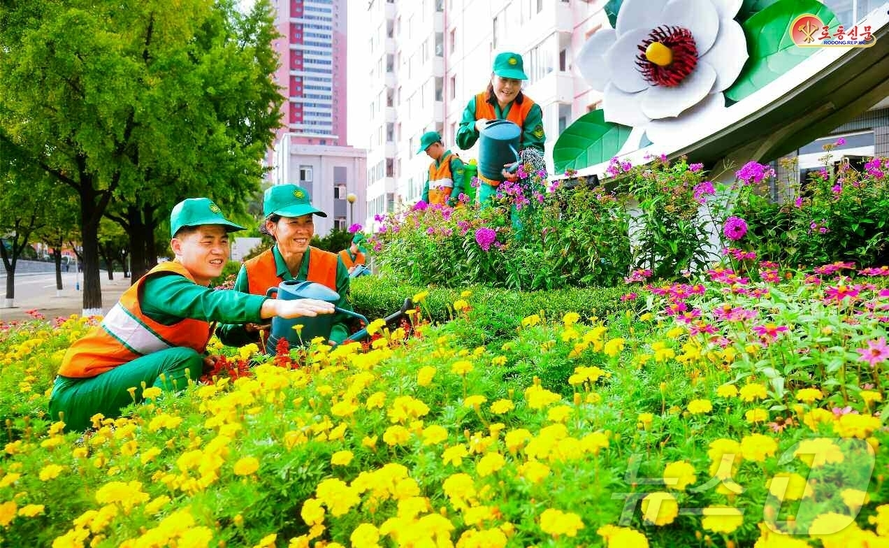 (평양 노동신문=뉴스1) = 북한 노동당 기관지 노동신문은 15일 평천구역 화초사업소를 조명하며 주민들이 수도의 거리를 아름답게 가꿔가고 있다고 보도했다. [국내에서만 사용가능. …