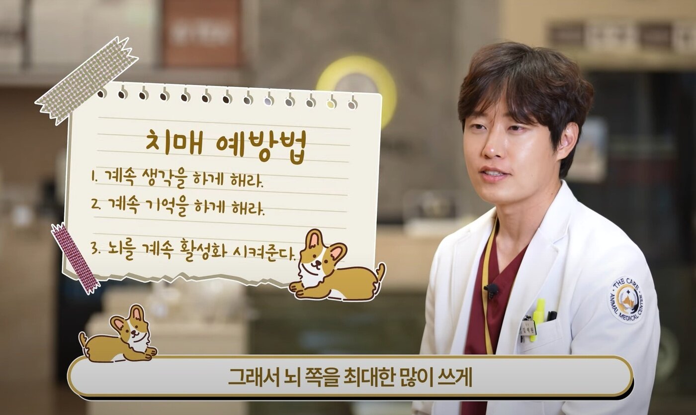 본문 이미지 - 반려견 치매 예방에 가장 효과적인 방법은 &#39;두뇌 자극 활동&#39;이다&#40;유튜브 갈무리&#41;. ⓒ 뉴스1