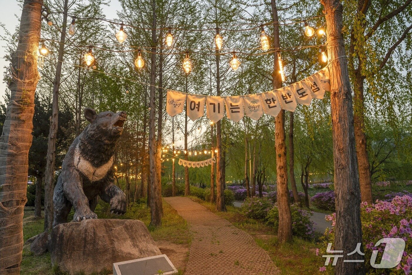 본문 이미지 - 파로호 한반도섬.&#40;양구군 제공. 재판매 및 DB금지&#41;/뉴스1