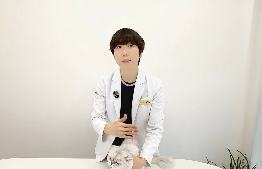 본문 이미지 - 권모모의 따뜻한 동물병원 영상 갈무리 ⓒ 뉴스1