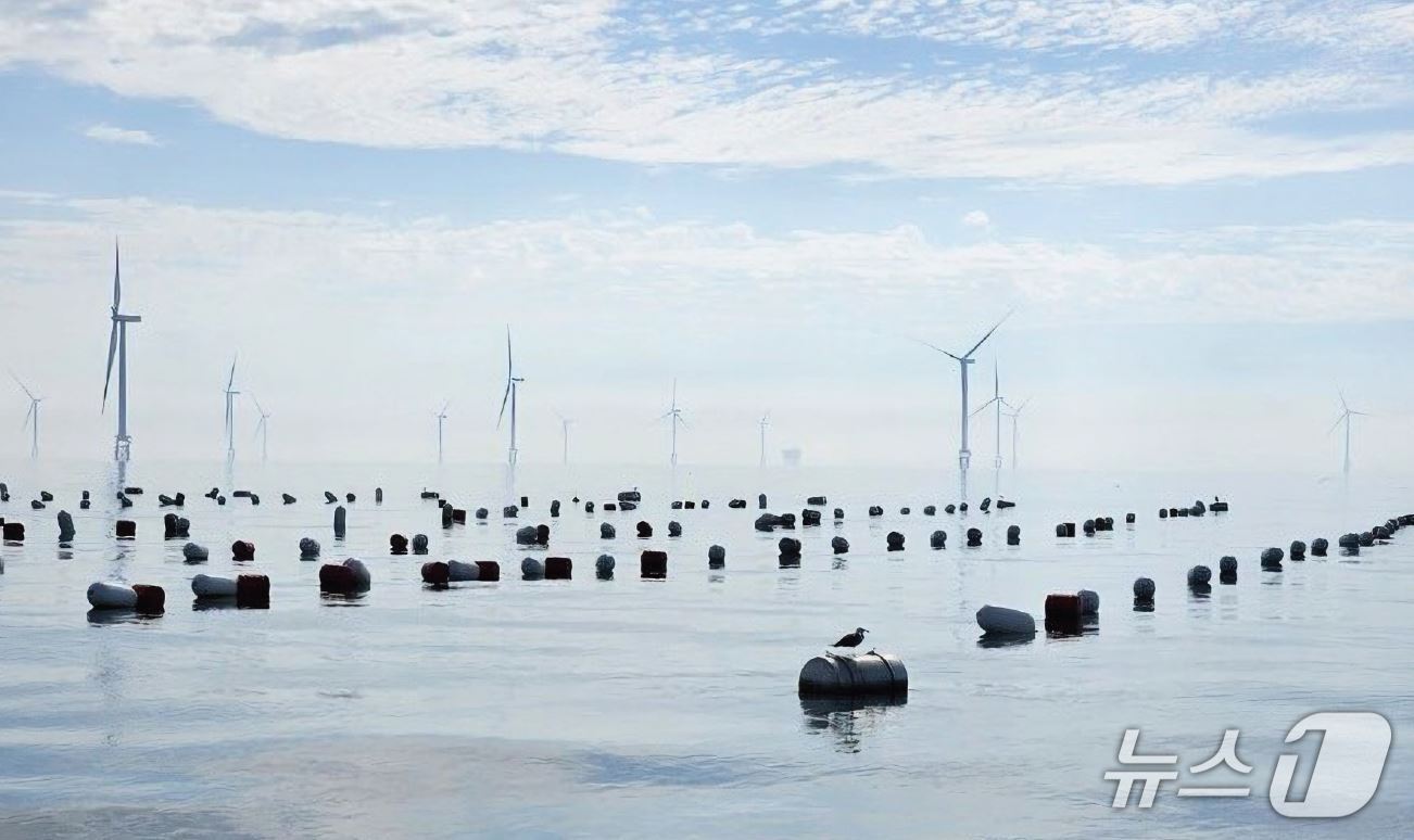 본문 이미지 - 군산대학교가 해양수산부로부터 연구비를 지원받아 운영 중인 해상풍력-수산업 공존 양식장&#40;박경일 군산대 교수 제공&#41;