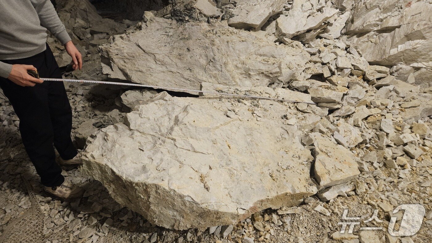 본문 이미지 -  충주 활옥동굴 낙석 크기 측정 모습.(독자 제공. 재판매 및 DB금지)/뉴스1