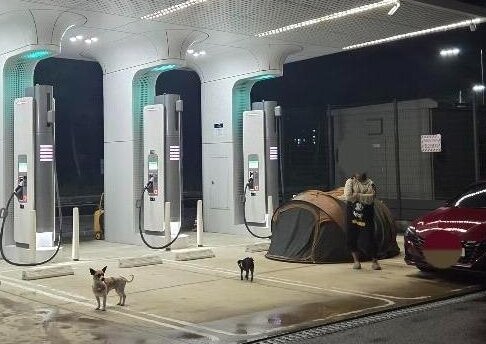 본문 이미지 - &#40;한 여성이 전기차 충전소에 텐트를 치고 캠핑하는 모습이 포착돼 눈살을 찌푸리게 한다. 보배드림 갈무리&#41;