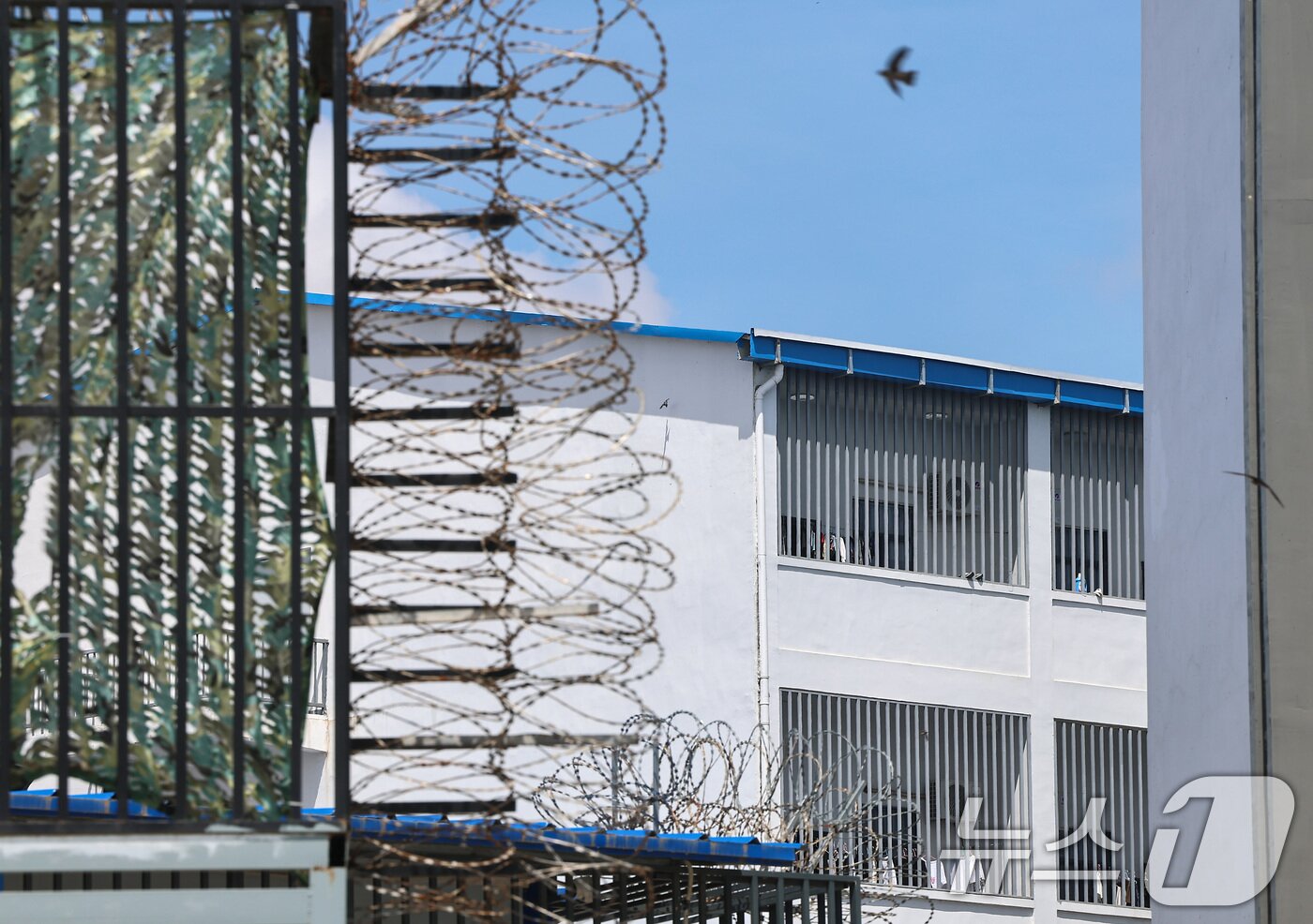 본문 이미지 - 16일&#40;현지시간&#41; 캄보디아과 베트남 국경 지역 쯔러이톰에 위치한 온라인스캠범죄단지. 현지인들에 따르면 이 단지들은 최근 1~2년 사이에 생겼다. 범죄조직들은 지난해부터 캄보디아 당국의 단속이 심해지자 눈을 피하기 위해 국경지대로 거점을 옮기는 것으로 알려졌다. 2025.10.16/뉴스1 ⓒ News1 김도우 기자