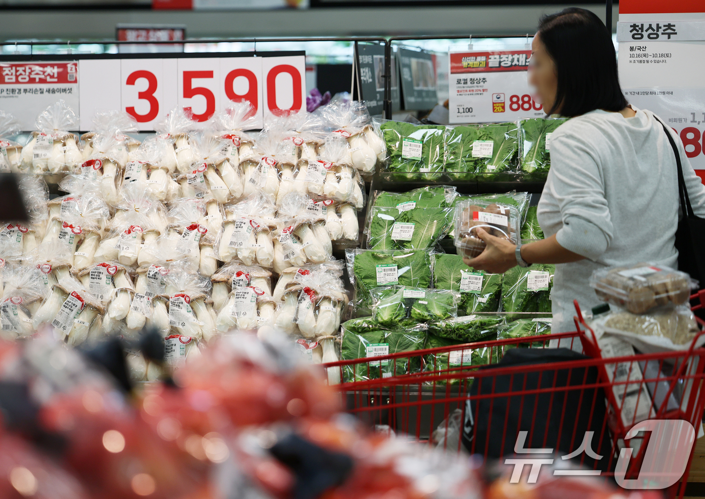 (서울=뉴스1) 오대일 기자 = 최근 5년간(2019~2024년) 의식주 물가가 전체 소비자물가보다 빠르게 오르면서 실제물가와 체감물가 간 괴리가 커진 것으로 나타났다.한국경제인협 …