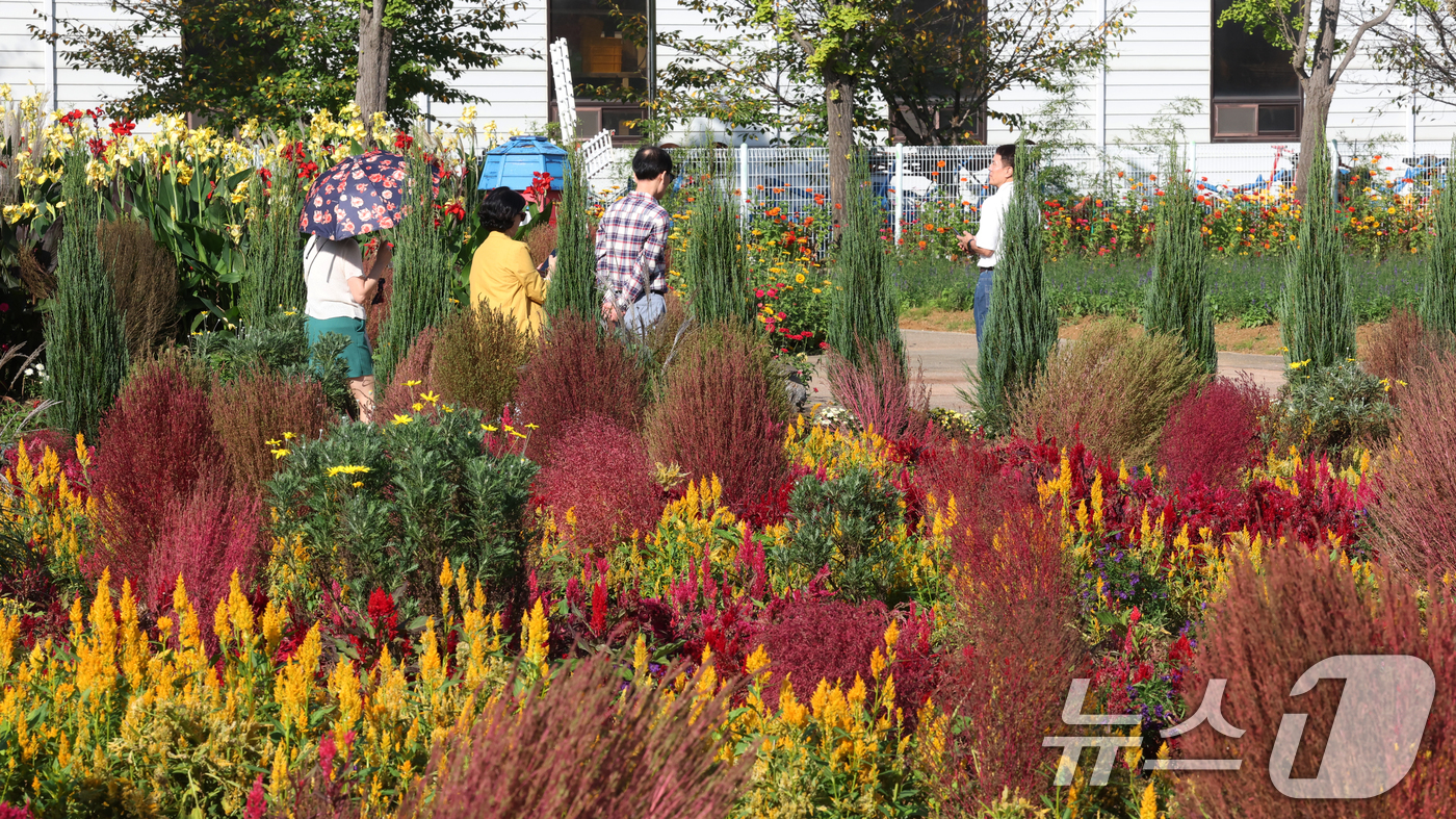 (평택=뉴스1) 김영운 기자 = 16일 경기 평택시 오성면 평택시농업셍태원에서 열린 '2025 경기정원문화박람회'에서 시민들이 아름답게 꾸며진 정원을 관람하고 있다. 2025.10 …