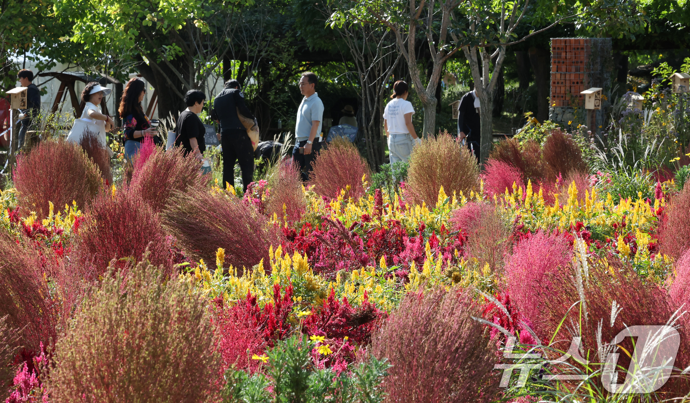 (평택=뉴스1) 김영운 기자 = 16일 경기 평택시 오성면 평택시농업셍태원에서 열린 '2025 경기정원문화박람회'에서 시민들이 아름답게 꾸며진 정원을 관람하고 있다. 2025.10 …