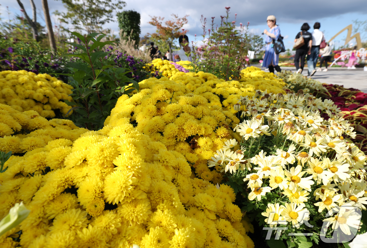 (평택=뉴스1) 김영운 기자 = 16일 경기 평택시 오성면 평택시농업셍태원에서 열린 '2025 경기정원문화박람회'에서 시민들이 아름답게 꾸며진 정원을 관람하고 있다. 2025.10 …
