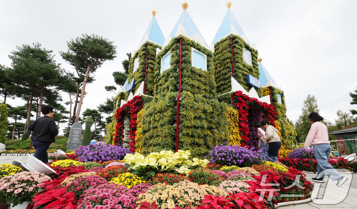 (대전=뉴스1) 김기태 기자 = 16일 대전 유성구 유림공원 일원에 조성된 유성국화축제장을 찾은 시민들이 여유로운 시간을 보내고 있다.유성국화축제는 오는 18일부터 11월 2일까지 …