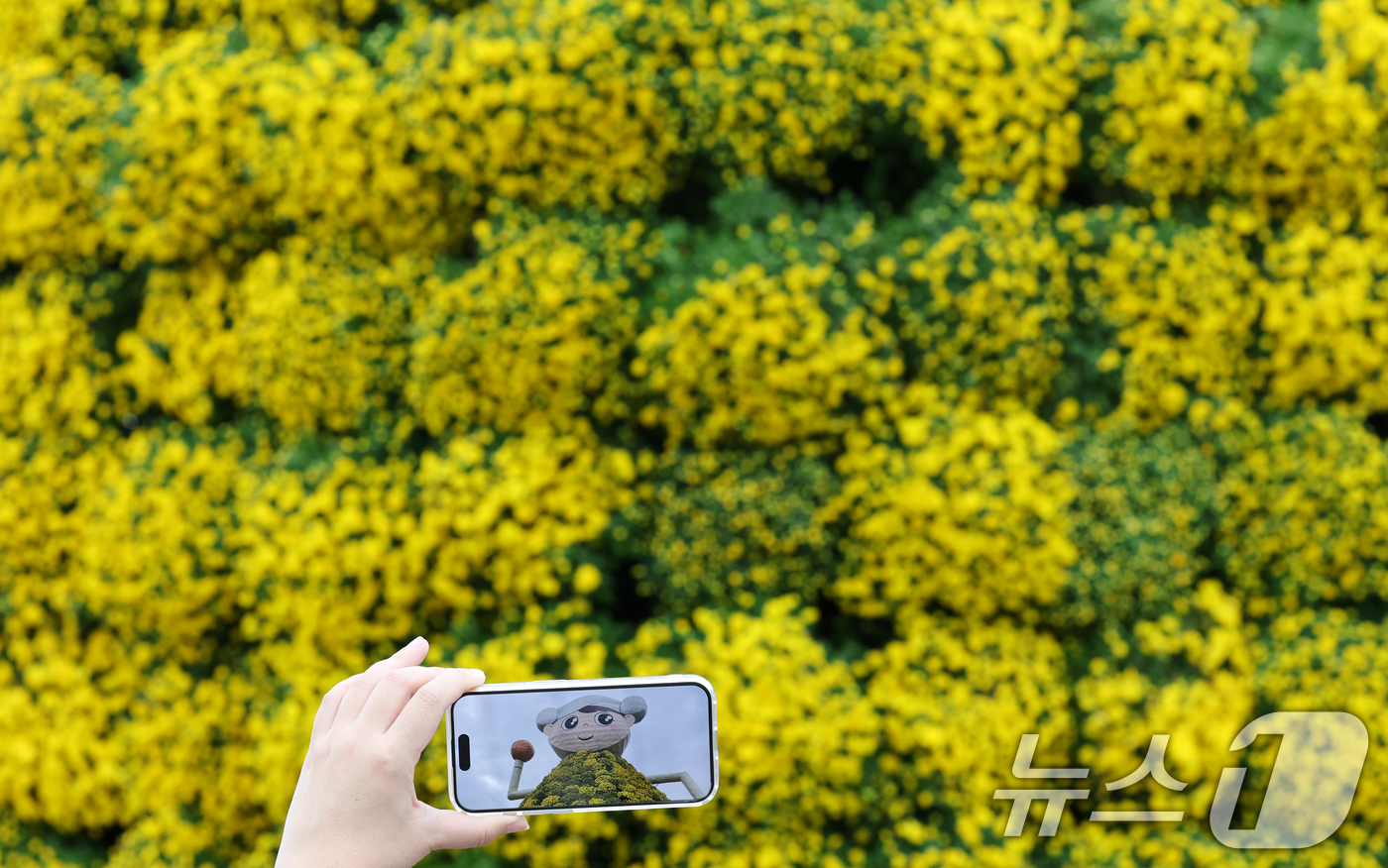 (대전=뉴스1) 김기태 기자 = 16일 대전 유성구 유림공원 일원에 조성된 유성국화축제장을 찾은 시민들이 여유로운 시간을 보내고 있다.유성국화축제는 오는 18일부터 11월 2일까지 …