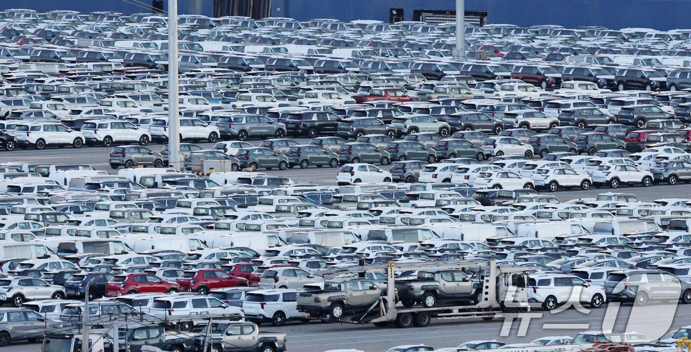 본문 이미지 - 경기 평택시 포승읍 평택항에 수출용 차량이 세워져 있는 모습. 2025.10.16/뉴스1 ⓒ News1 김영운 기자