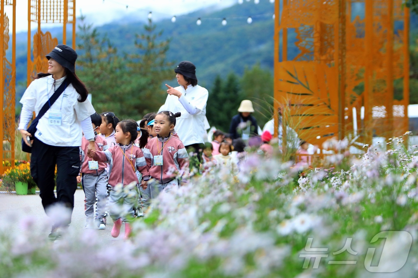 (인제=뉴스1) 이종재 기자 = 16일 강원 인제군 북면 용대리 일원에서 가을꽃 축제장을 찾은 어린이집 원아들이 꽃구경을 하고 있다.‘인제에서 꽃길만 걷자’를 주제로 열린 이번 축 …