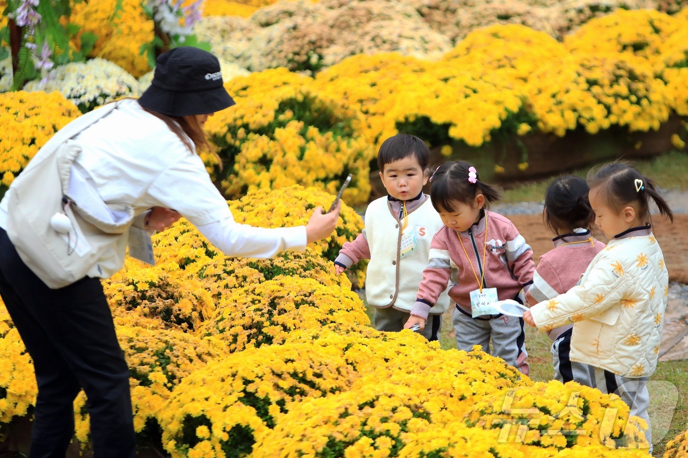 (인제=뉴스1) 이종재 기자 = 16일 강원 인제군 북면 용대리 일원에서 가을꽃 축제장을 찾은 어린이집 원아들이 꽃구경을 하고 있다.‘인제에서 꽃길만 걷자’를 주제로 열린 이번 축 …