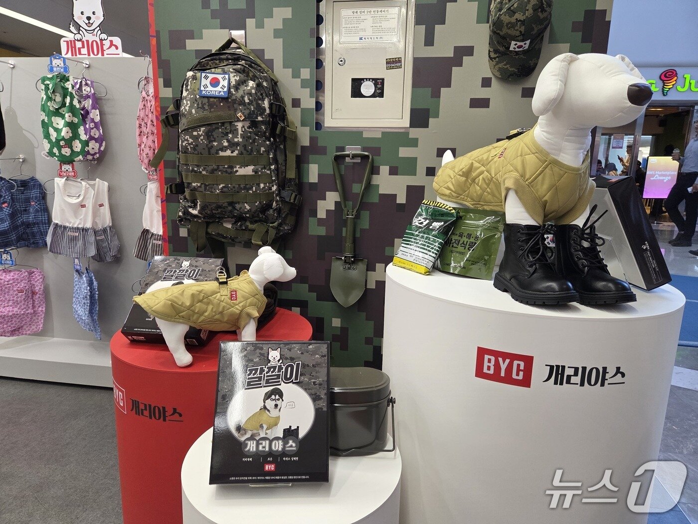 본문 이미지 - 개리야스 팝업 스토어에 진열된 제품들 ⓒ 뉴스1 한송아 기자