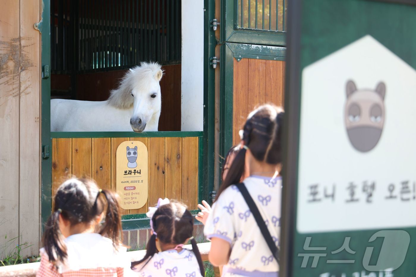 본문 이미지 - 아이들이 포니 구경하고 있는 모습 / 뉴스1 DB