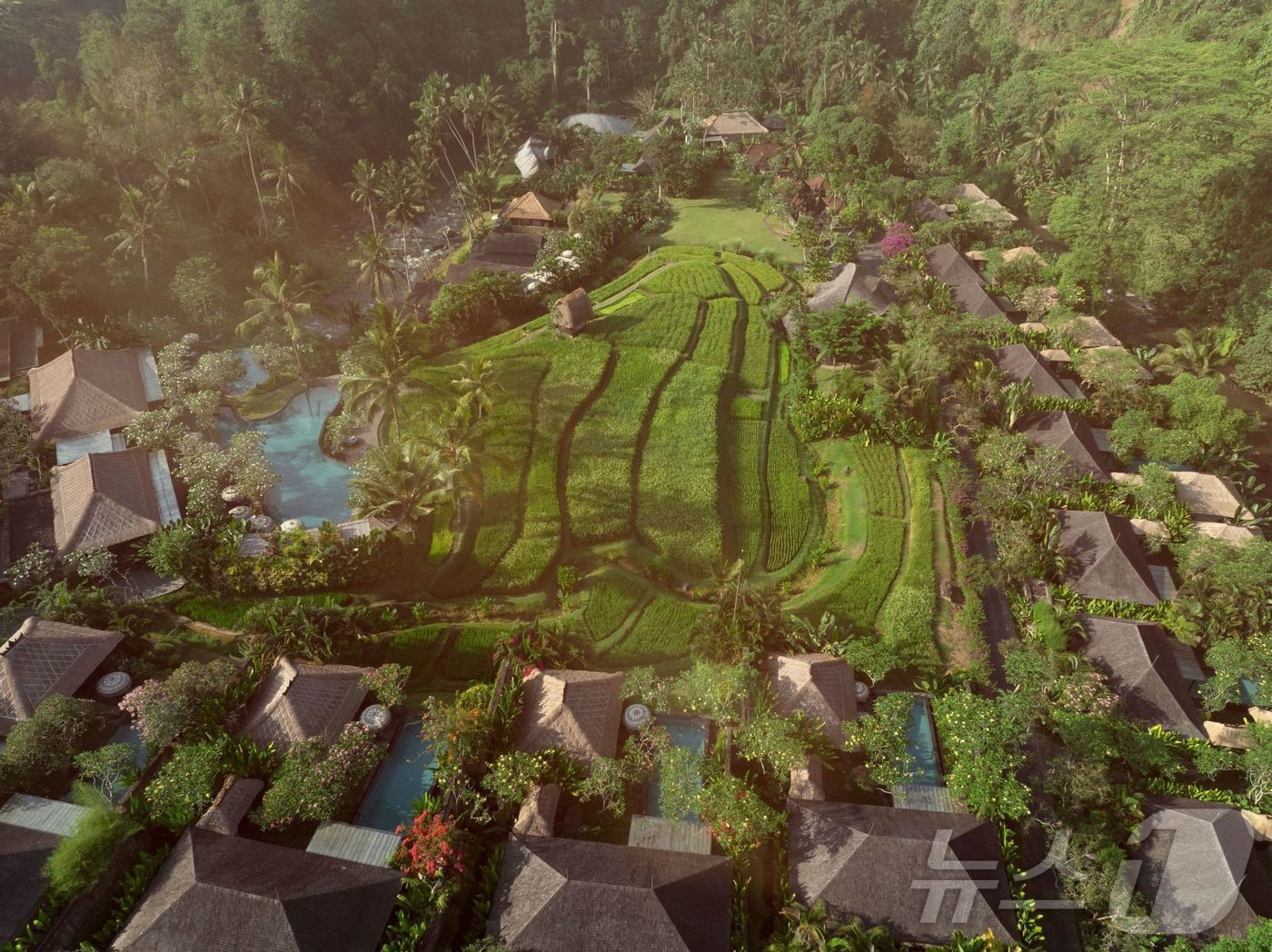 본문 이미지 - 우붓 지역의 계단식 논과 사원 주변에 자리한 60채의 프라이빗 빌라.(만다파리츠칼튼리저브 제공) 