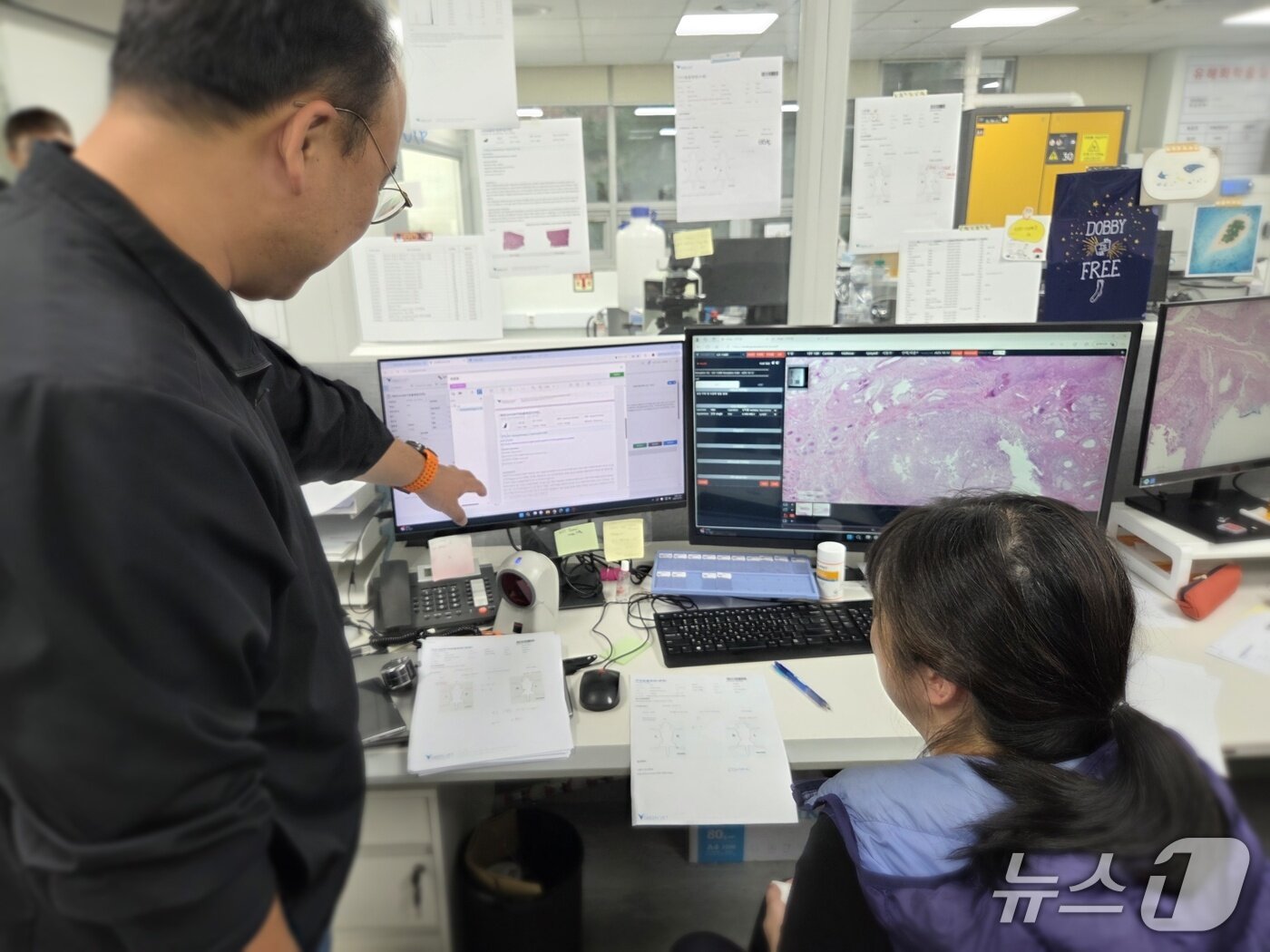 본문 이미지 - 오이세 스카이동물메디컬센터 대표원장이 의뢰한 조직검사 결과를 디지털 패솔로지 시스템을 통해 직접 확인하고 있다. ⓒ 뉴스1 한송아 기자