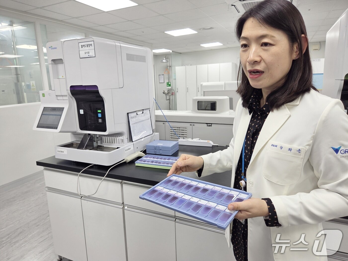 본문 이미지 - 양화순 그린벳 진단검사 유닛장이 혈액도말검사 장비에 대해 설명하고 있다.  이 장비로 사람이 할 때 보다 표준화된 검사 결과를 얻을 수 있다. ⓒ 뉴스1 한송아 기자