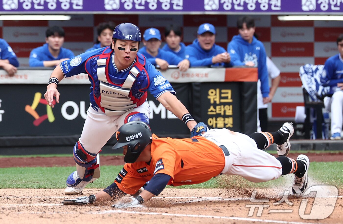 본문 이미지 - 18일 대전 한화생명볼파크 열린 프로야구 2025 신한 SOL뱅크 KBO 플레이오프 1차전 삼성 라이온즈와 한화 이글스의 경기, 한화 김태연이 2회말 2사 2,3루 상황에서 손아섭의 투수 앞 땅볼 때 홈으로 쇄도해 득점을 하고 있다. 2025.10.18/뉴스1 ⓒ News1 김성진 기자