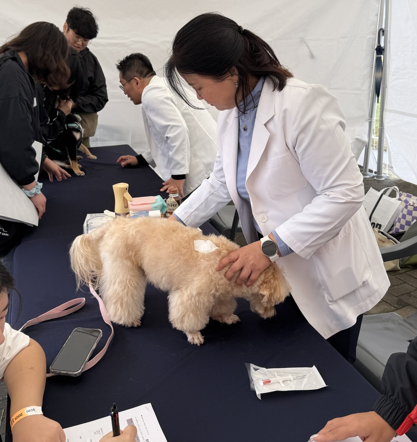 본문 이미지 - 이봉희 서울시수의사회 동물복지이사(하스펫탈동물병원 원장)가 반려견 내장형 동물등록을 진행하고 있다(서울시수의사회 제공). ⓒ 뉴스1