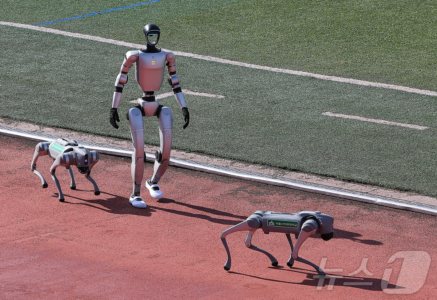 (서울=뉴스1) 김진환 기자 = 19일 오전 서울 용산구 효창운동장에서 열린 제43회 대통령기 이북도민 체육대회에 로봇이 입장을 하고 있다. 2025.10.19/뉴스1