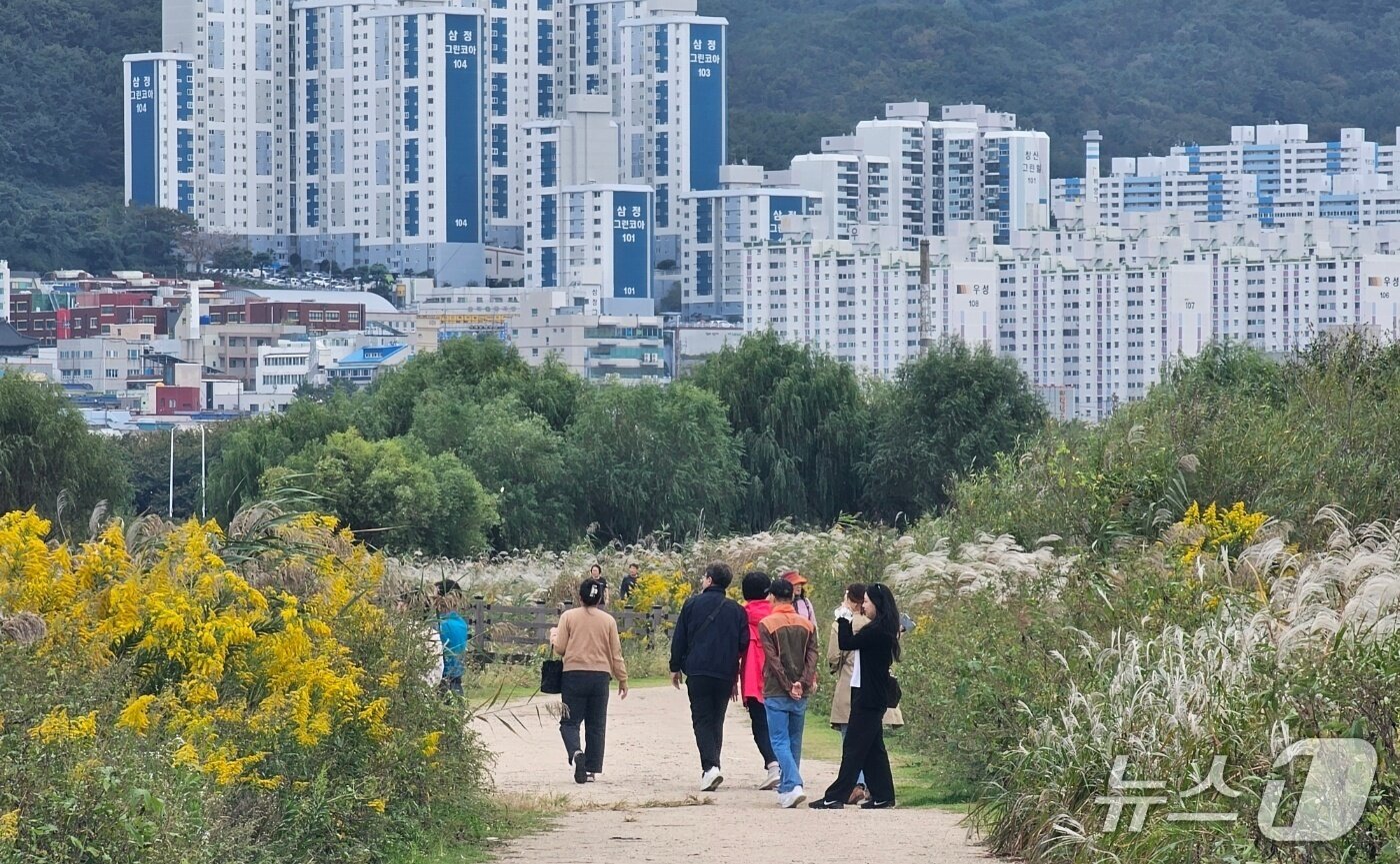 본문 이미지 - 19일 오후 대저생태공원을 찾은 상춘객들이 산책을 하고 있다. 2025.10.19 ⓒ 뉴스1 박민석 기자