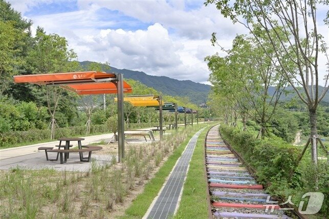 본문 이미지 - 강원 원주시의 치악산 바람길숲 일부 구간 자료 사진. &#40;재판매 및 DB금지&#41;/뉴스1