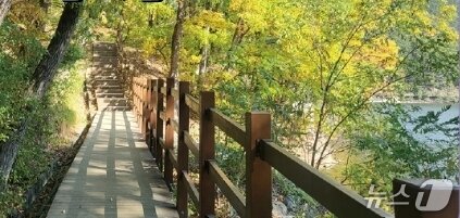 본문 이미지 -  ‘대구 비슬산둘레길’&#40;산림청 제공.재판매 및 DB금지&#41;/뉴스1