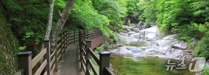 본문 이미지 - ‘장수 방화동 생태길’&#40;산림청 제공.재판매 및 DB금지&#41;/뉴스1 