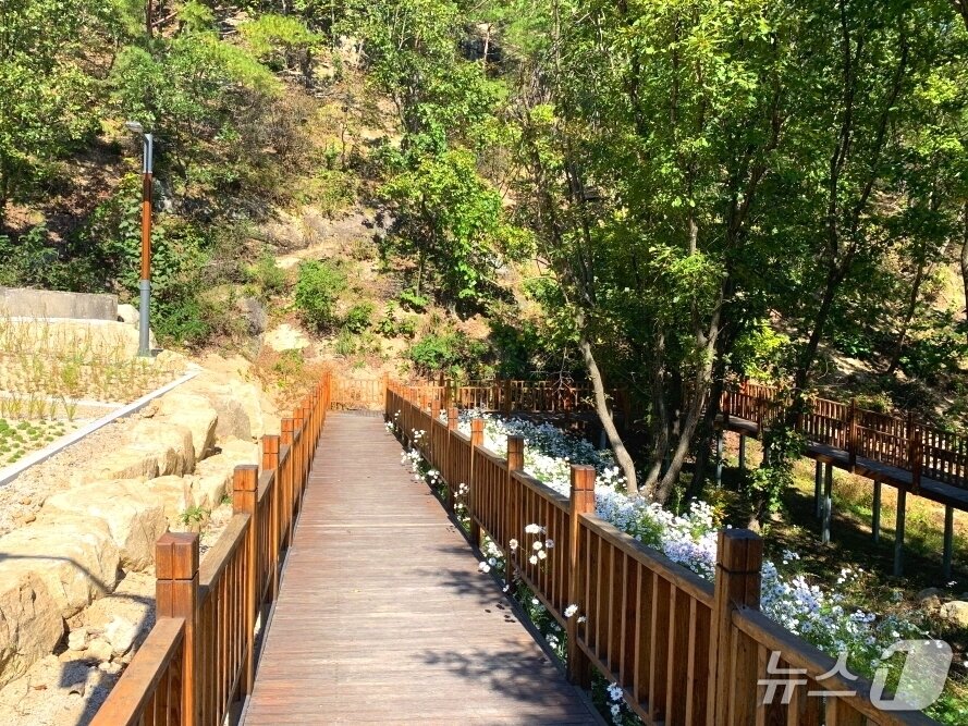 본문 이미지 -  ‘춘천 산수길’&#40;산림청 제공.재판매 및 DB금지&#41;/뉴스1