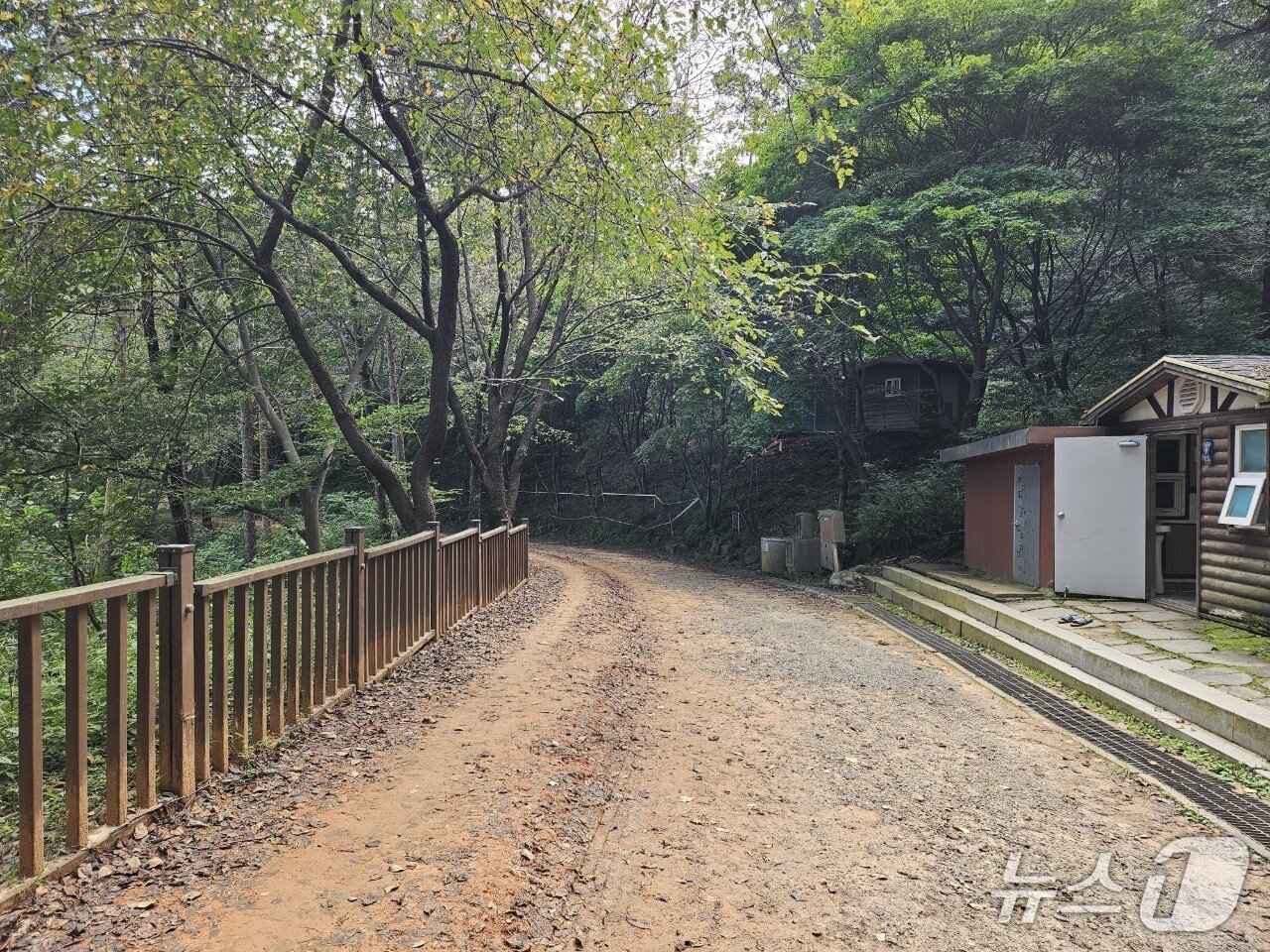 본문 이미지 -  ‘대전둘레산길 제5구간길’&#40;산림청 제공.재판매 및 DB금지&#41;/뉴스1