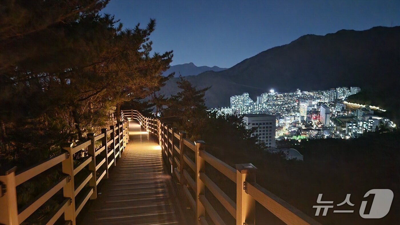 본문 이미지 -  ‘부산 구포 무장애 숲길’&#40;산림청 제공.재판매 및 DB금지&#41;/뉴스1