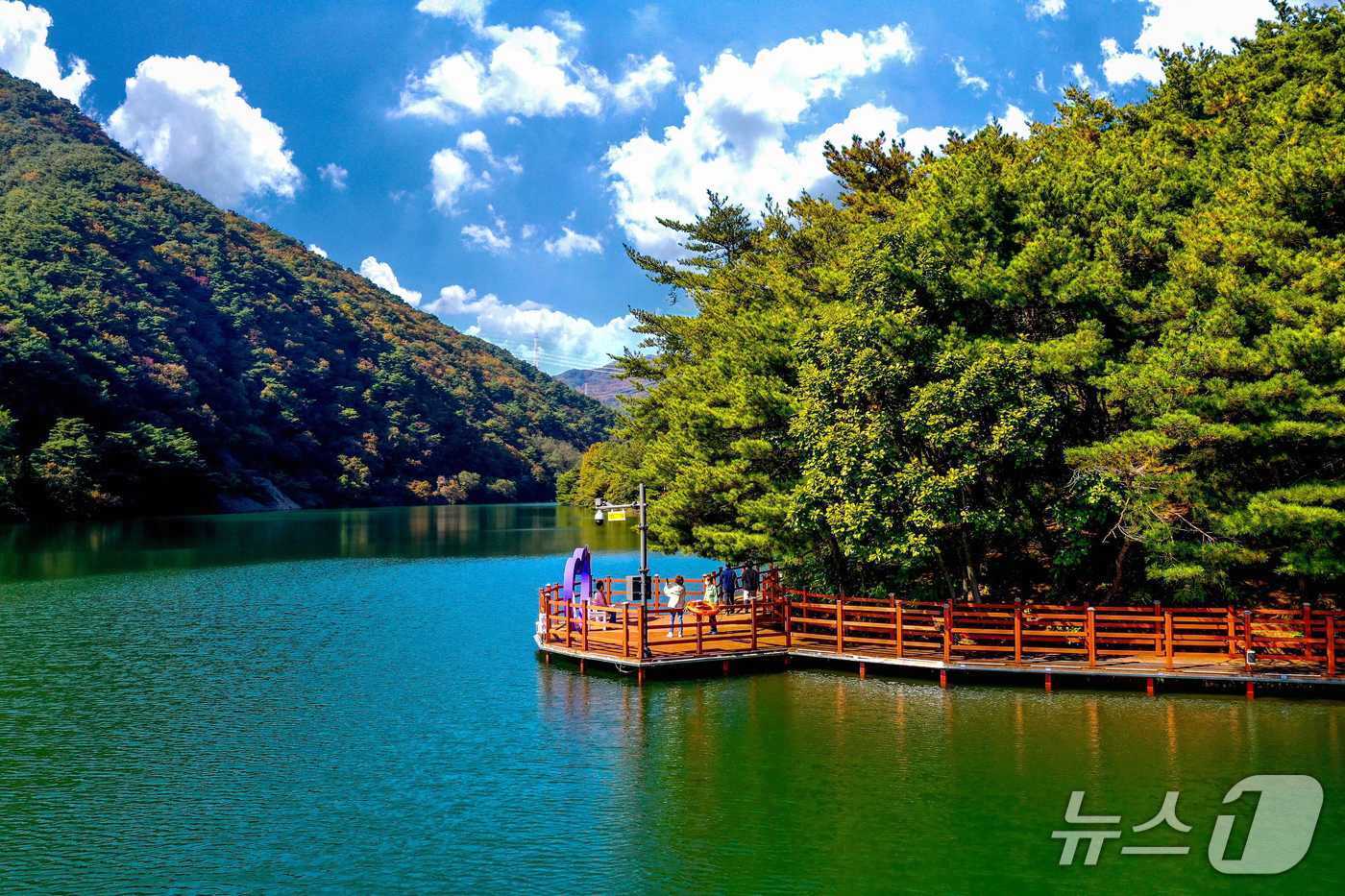 본문 이미지 - ‘제천 의림지 한방치유숲길’&#40;산림청 제공.재판매 및 DB금지&#41;/뉴스1 
