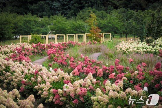 본문 이미지 - 국립백두대간수목원(한국수목원정원관리원 제공.재판매 및 DB 금지) /뉴스1 