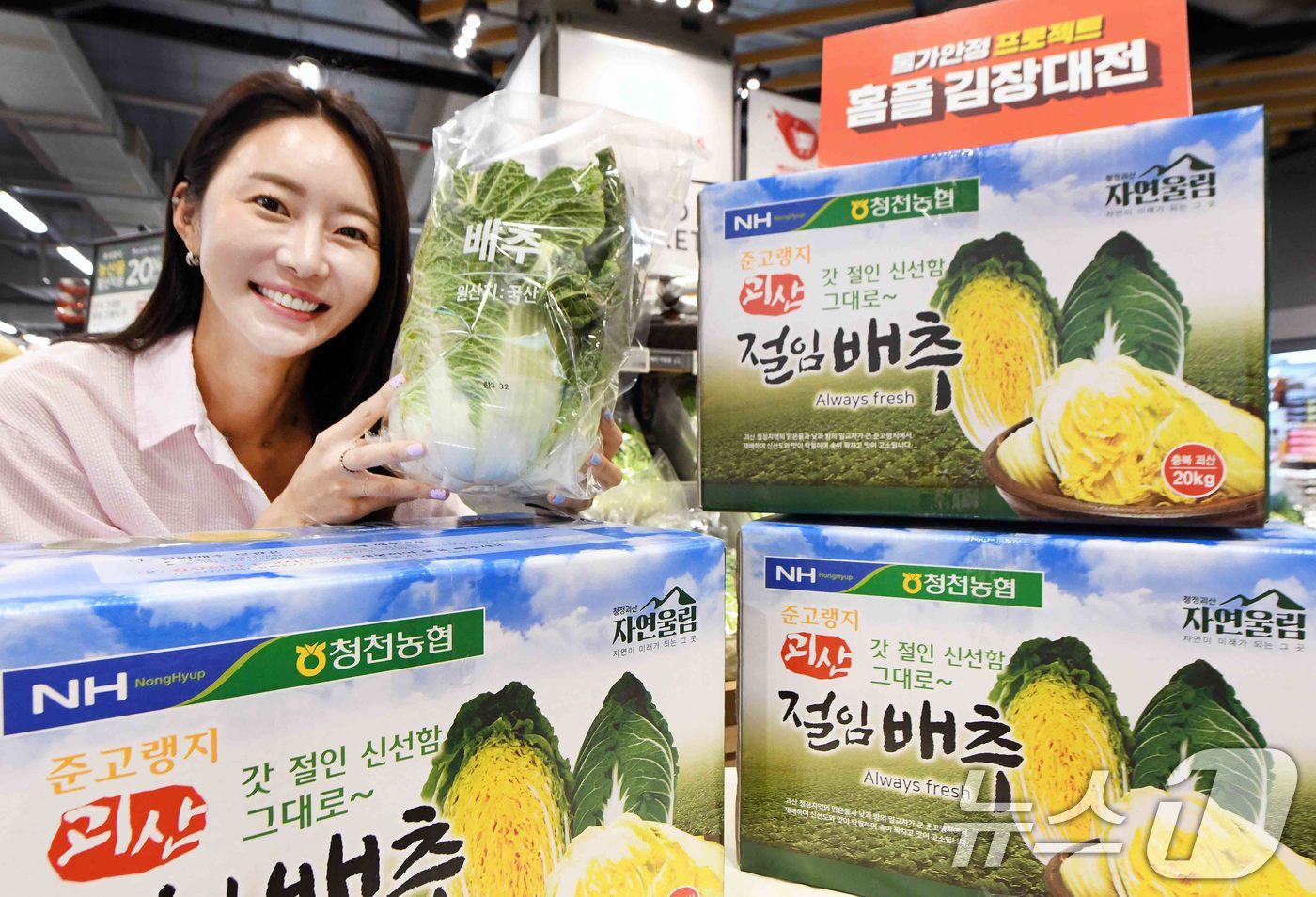 (서울=뉴스1) = 홈플러스는 추석 연휴 직후인 오는 10일부터 절임배추 사전예약 접수를 시작한다고 2일 밝혔다.모델이 2일 서울 강서구 등촌동 ‘홈플러스 메가 푸드 마켓 라이브’ …