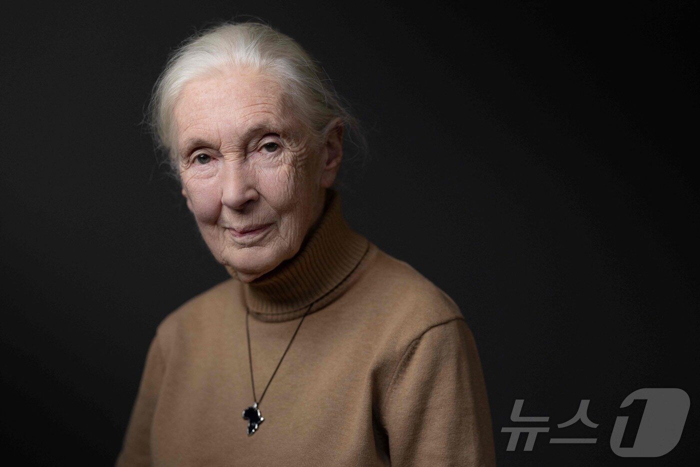 본문 이미지 - 영국의 동물행동학자이자 영장류학자 제인 구달 박사가 1일(현지시간) 91세를 일기로 영면했다. 2024.10.18. ⓒ AFP=뉴스1 ⓒ News1 윤다정 기자