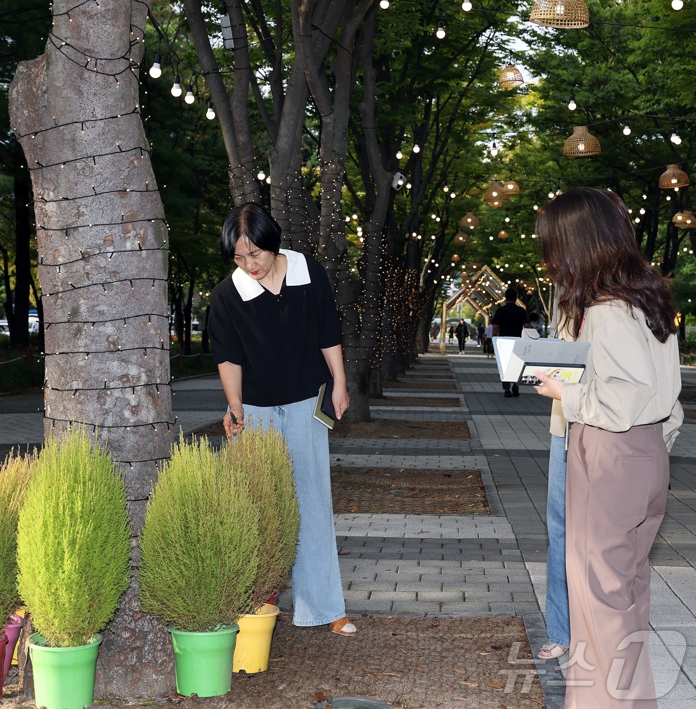 (대전=뉴스1) 김기태 기자 = 2일 대전 서구청 문화체육과 직원들이 오는 10~12일 개최되는 '대전 서구 아트페스티벌’을 앞두고 축제 준비를 하고 있다.(서구 제공. 재판매 및 …