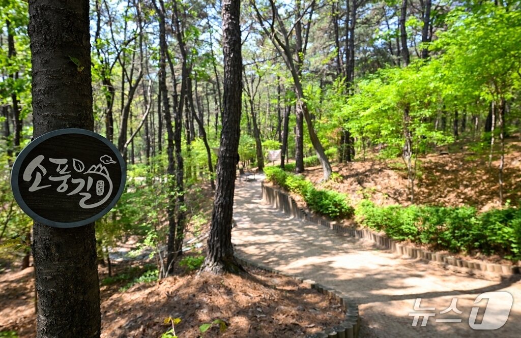 본문 이미지 - 의정부 소풍길. &#40;의정부시 제공. 재판매 및 DB금지&#41;