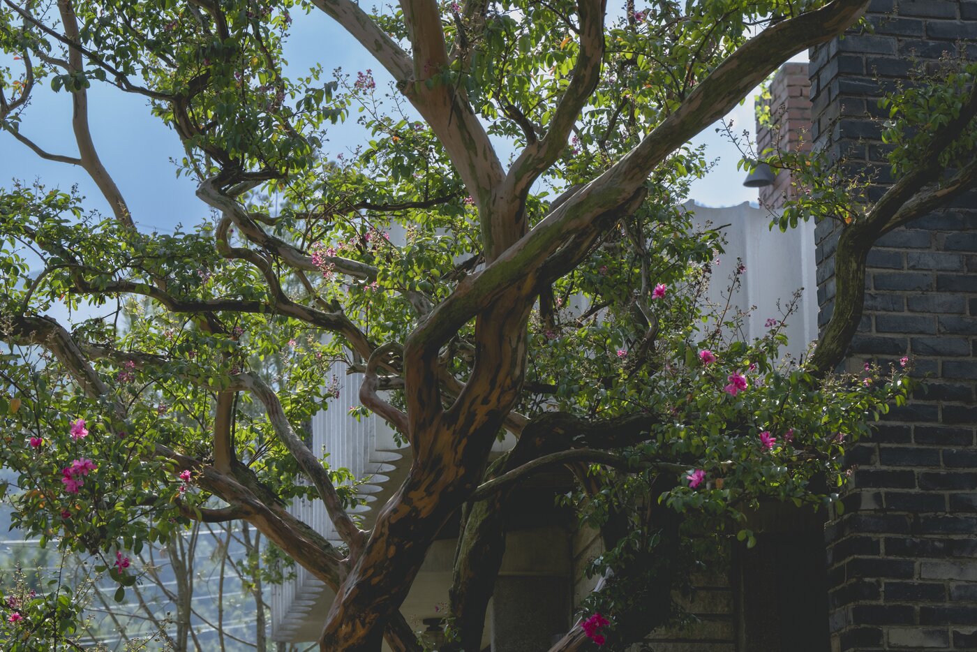 본문 이미지 - '어쩔수가없다' 스틸 컷