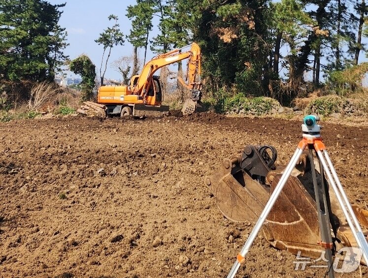 본문 이미지 - '고양이도서관' 신축 공사현장.(고양이도서관 제공. 재판매 및 DB 금지)