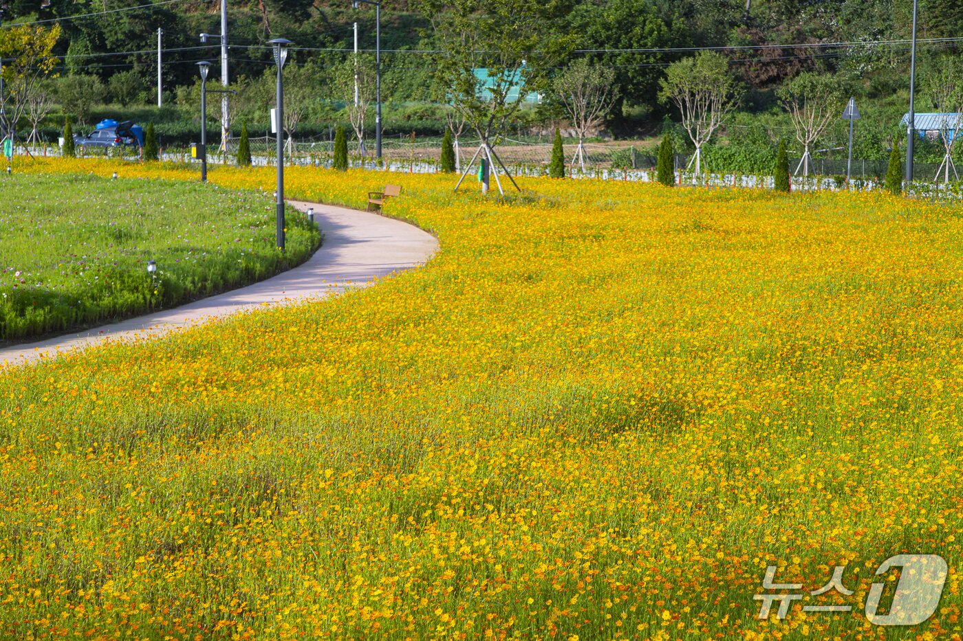 본문 이미지 - 호수와 어우러진 꽃마당 &#39;안성 금광호수 수석정 수변화원&#39;.&#40;경기관광공사 제공. 재판매 및 DB금지&#41;/뉴스1