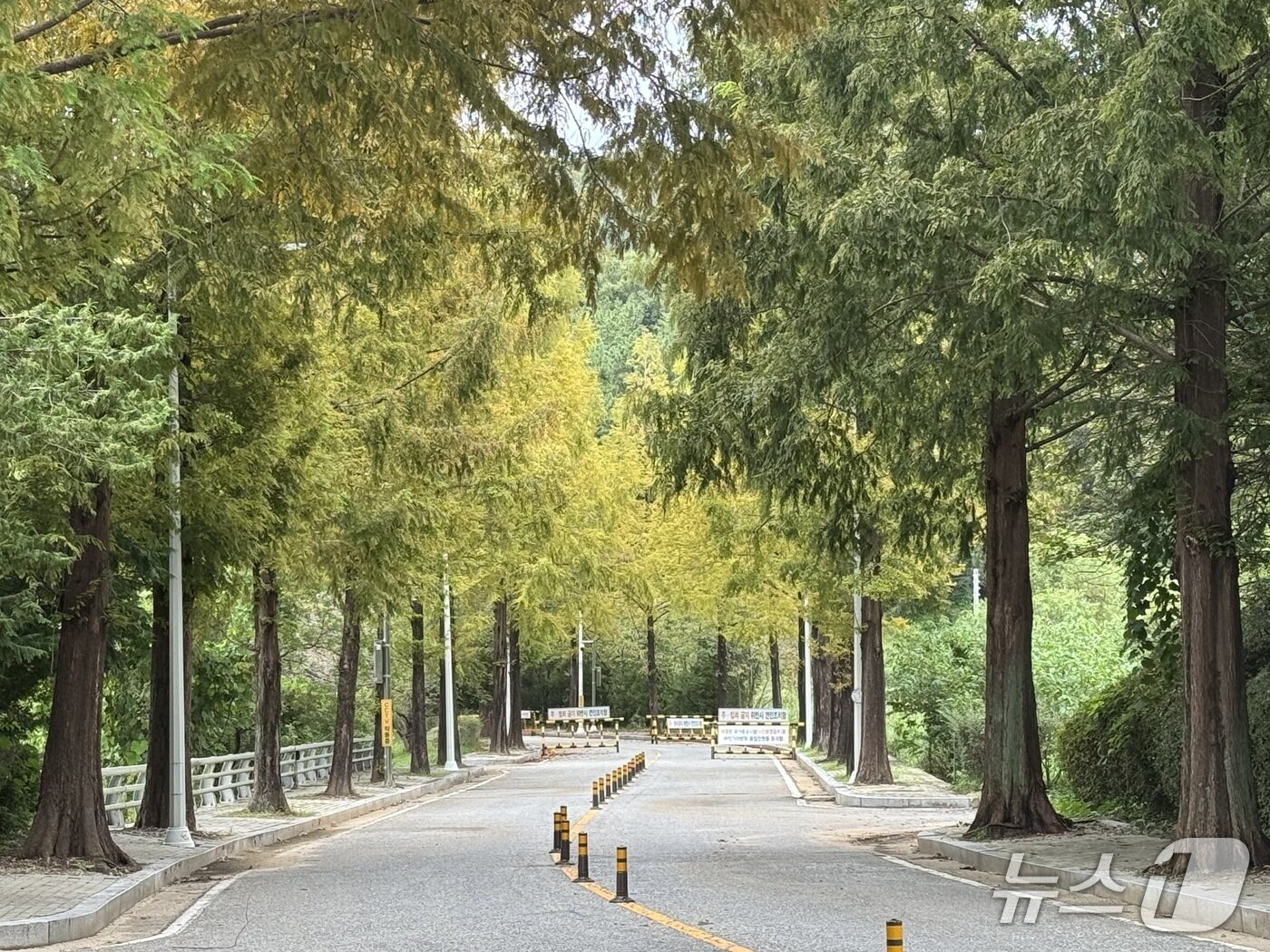 본문 이미지 - 전북 전주시 상림동 방마마을 진입로 인근 도로에 설치된 바리케이드.2025.10.2/뉴스1 장수인 기자