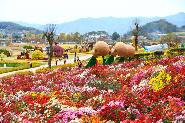 화순 고인돌 가을꽃축제, 대한민국축제콘텐츠대상 수상