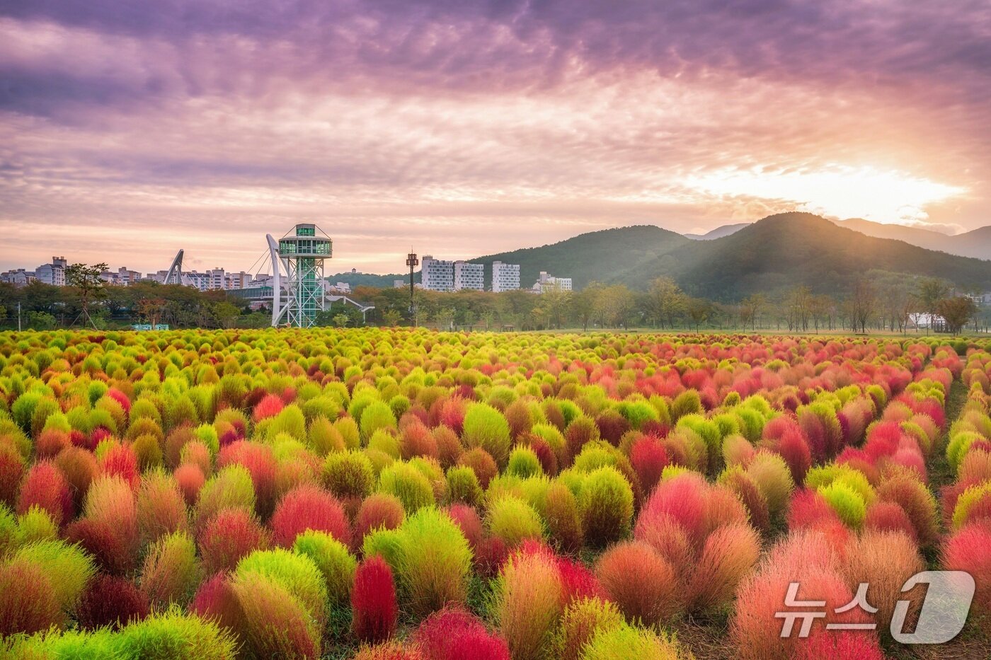 본문 이미지 - 양산 황산공원.&#40;경남도 제공. 재판매 및 DB금지&#41;