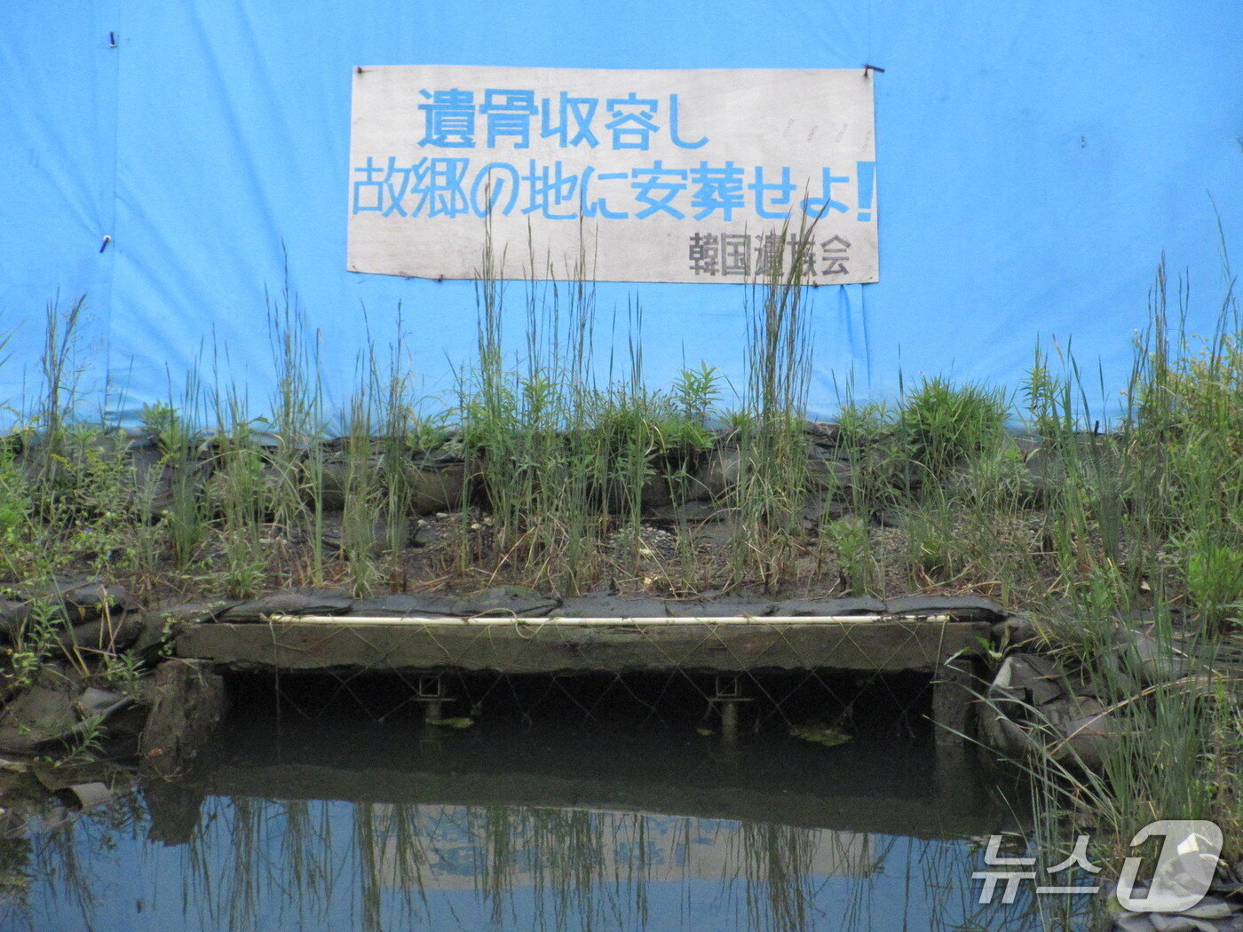 본문 이미지 - 바닷물에 잠겨 있는 장생탄광 갱도 입구. ⓒ 뉴스1 김정한 기자