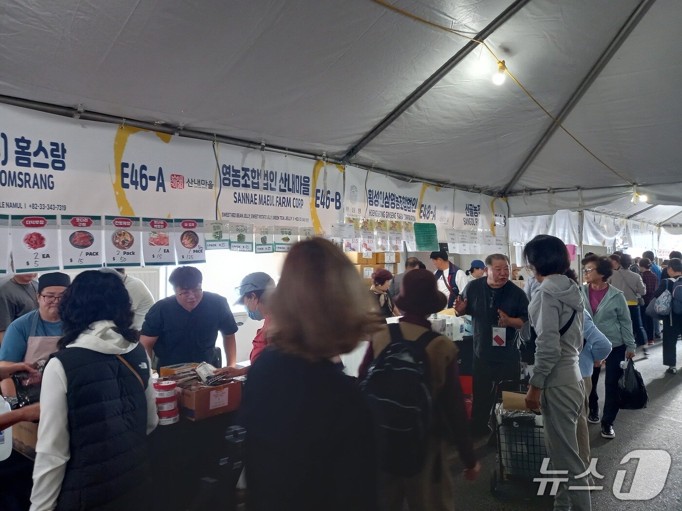 본문 이미지 - 횡성군은 지난 16일부터 19일까지 열린 &#39;2025 LA 한인축제&#39;에 처참가해 지역 기업의 해외시장 진출을 지원하고 특산품을 현지에 소개했다.&#40;횡성군 제공. 재판매 및 DB금지&#41;/뉴스1