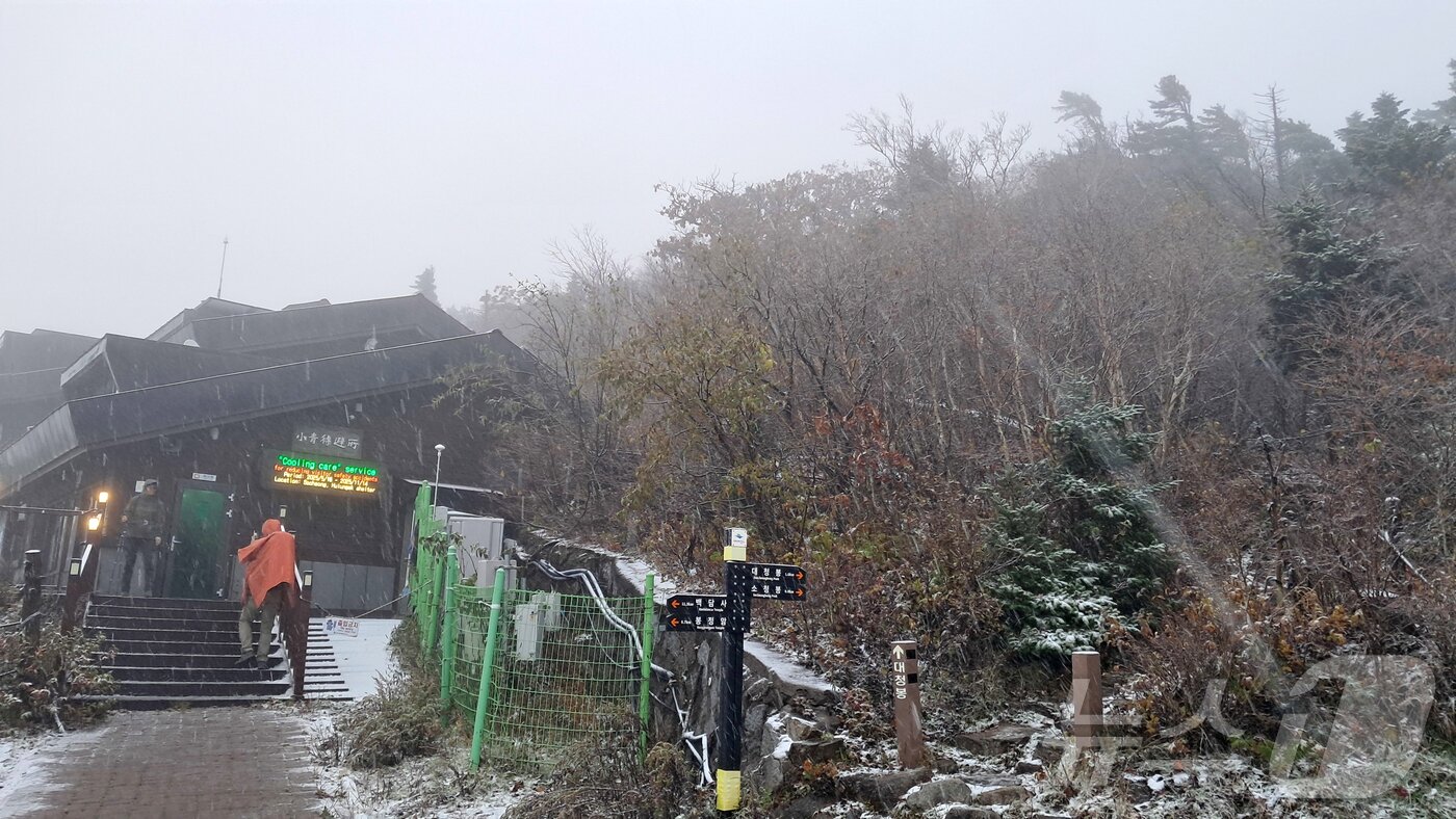 본문 이미지 - 20일 오전 설악산 고지대에 올해 첫눈이 관측됐다. 올해 설악산 첫눈은 지난해(10월 19일)보다 하루 늦고 2023년(10월 21일)보다 1일 빠른 것이다.(설악산국립공원사무소 제공, 재판매 및 DB 금지) 2025.10.20/뉴스1 ⓒ News1 윤왕근 기자