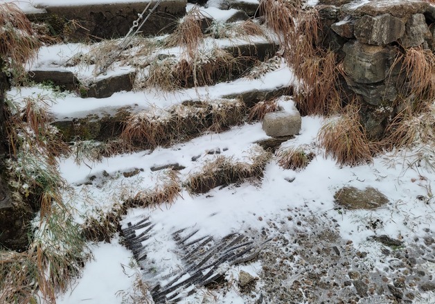 목포 올겨울 첫 눈…지난해보다 24일 빨라