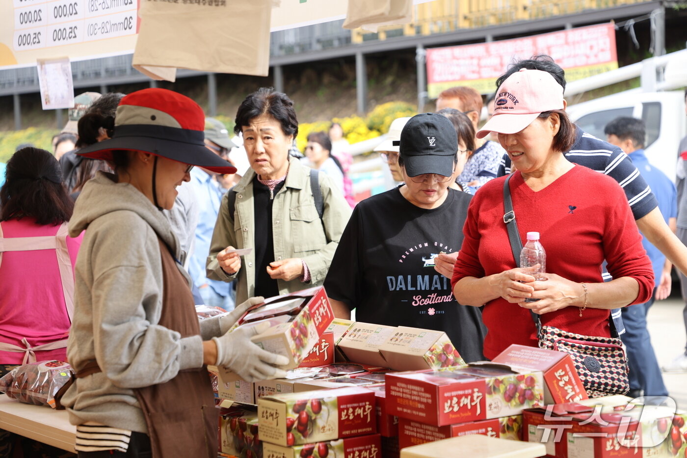 본문 이미지 - 보은대추축제 판매장에서 관광객들이 대추를  구입하고 있다.(보은군 제공. 재판매 및 DB금지) /뉴스1